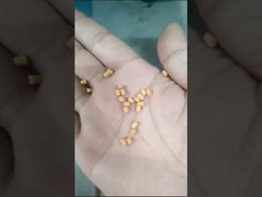 पूर्ण स्वचालित फ्लोटिंग मछली फ़ीड गोली उत्पादन लाइन 100-160 किग्रा/घंटा