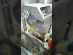 पालतू भोजन एक्सट्रूडर मशीन सिखाने की जगह पर सेवा