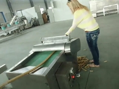 किबल फूड पालतू कुत्ता बिल्ली ट्रीट मशीन एक्सट्रूडर उपकरण बीवी प्रमाणन