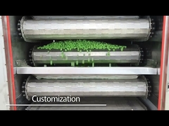 रोस्टिंग ओवन के साथ एलजी इन्वर्टर 500 किग्रा/एच पालतू भोजन एक्सट्रूडर