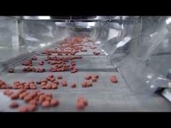 पूर्ण स्वचालित सीई प्रमाणपत्र डॉग फूड एक्सट्रूडर पालतू भोजन प्रसंस्करण लाइन