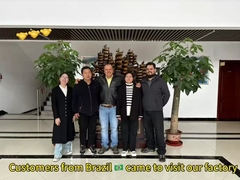 स्वचालित पालतू भोजन और बिल्ली का भोजन उत्पादन लाइन, ब्राजील से ग्राहक