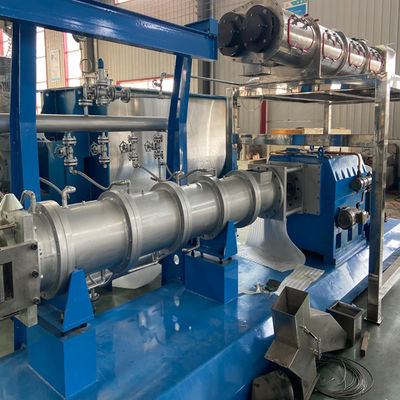 डेल्टा इन्वर्टर 100 किलोग्राम/घंटा फ्लोटिंग फिश फीड प्रोडक्शन लाइन