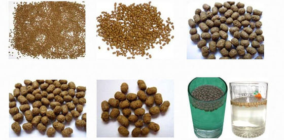 पालतू भोजन एक्सट्रूडर मशीन सिखाने की जगह पर सेवा