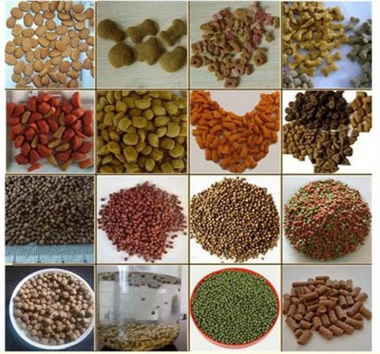 4t/H Staineless aquatic fish Feed Extruder Machine With Siemens Motor