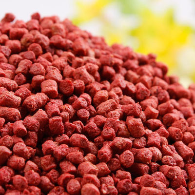 औद्योगिक 220V ट्विन स्क्रू 100kg/Hr मछली फ़ीड एक्सट्रूडर