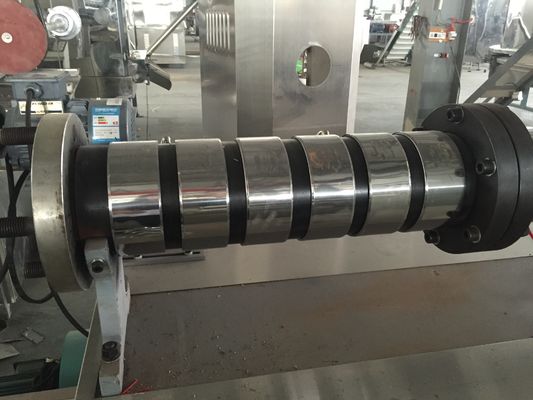 डेल्टा इन्वर्टर 100 किलोग्राम/घंटा फ्लोटिंग फिश फीड प्रोडक्शन लाइन