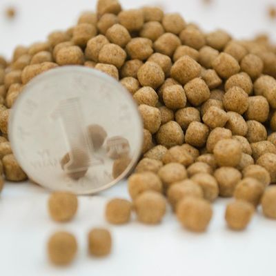 2-3 टीपीएच फ्लोटिंग फिश फीड एक्सट्रूडर स्टेनलेस स्टील 201 सामग्री