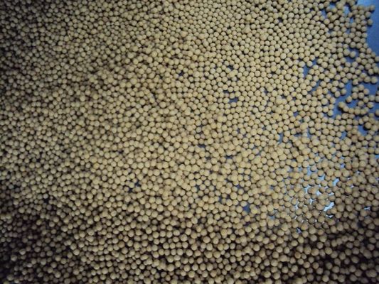 SS304 छोटे पशु पालतू जानवर कैटफ़िश मछली फ़ीड एक्सट्रूडर डूबने वाली मछली फ़ीड मशीन