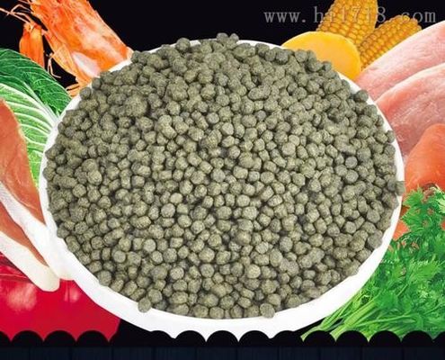 400-500 किलोग्राम/घंटा स्क्रू फिश पेलेट एक्सट्रूडर छोटी फ्लोटिंग फिश फ़ीड मशीन