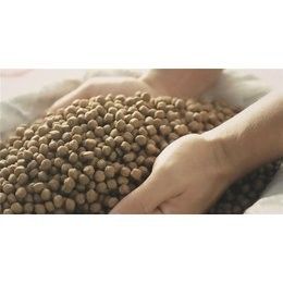 200-260KG/H ट्विन फिश फूड पेलेट मशीन फिश फीडिंग उपकरण