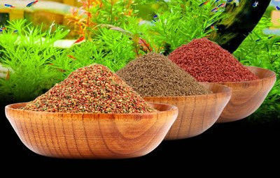 200-260KG/H ट्विन फिश फूड पेलेट मशीन फिश फीडिंग उपकरण