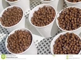 एसयूएस मछली पालन मछली फ़ीड विनिर्माण मशीन 100kg/H-6t/H