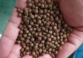 एसयूएस मछली पालन मछली फ़ीड विनिर्माण मशीन 100kg/H-6t/H