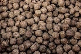 6TPH ट्विन स्क्रू फिश फीड एक्सट्रूडर फॉर फ्लोटिंग फिश फीड