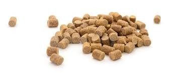 6TPH ट्विन स्क्रू फिश फीड एक्सट्रूडर फॉर फ्लोटिंग फिश फीड