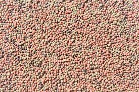 100kg/h-6t/h डुअल स्क्रू फिश फीड एक्सट्रूडर फॉर फ्लोटिंग फिश फीड पैलेट मशीन