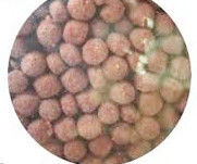 Dsp 70 Fish Feed Extruder Floating Fish Meal Feed Dryer Pellet Drying Machine