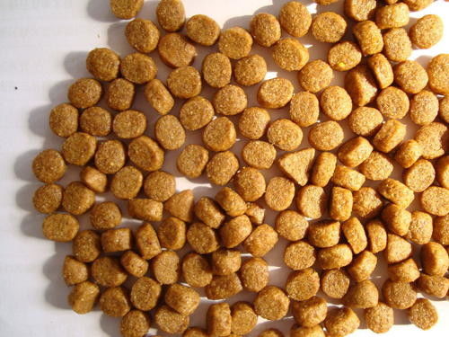 ट्विन स्क्रू एसयूएस मछली फ़ीड एक्सट्रूडर मछली खाद्य निर्माण मशीनें