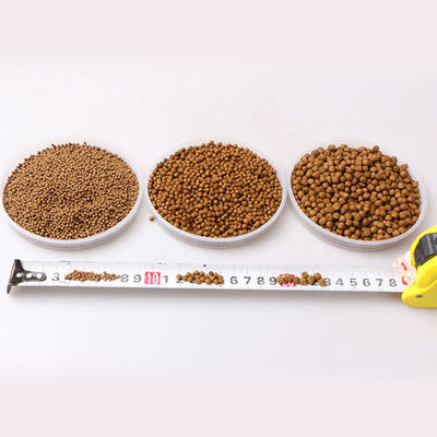 SUS 304 विभिन्न मोल्ड के साथ तैरती मछली फ़ीड मशीन